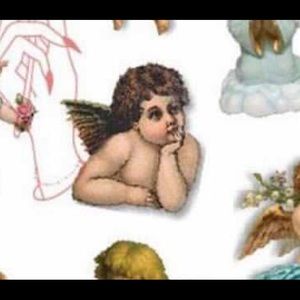 Meet your Posher, Celeste